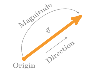 Loss curve over 100 epochs